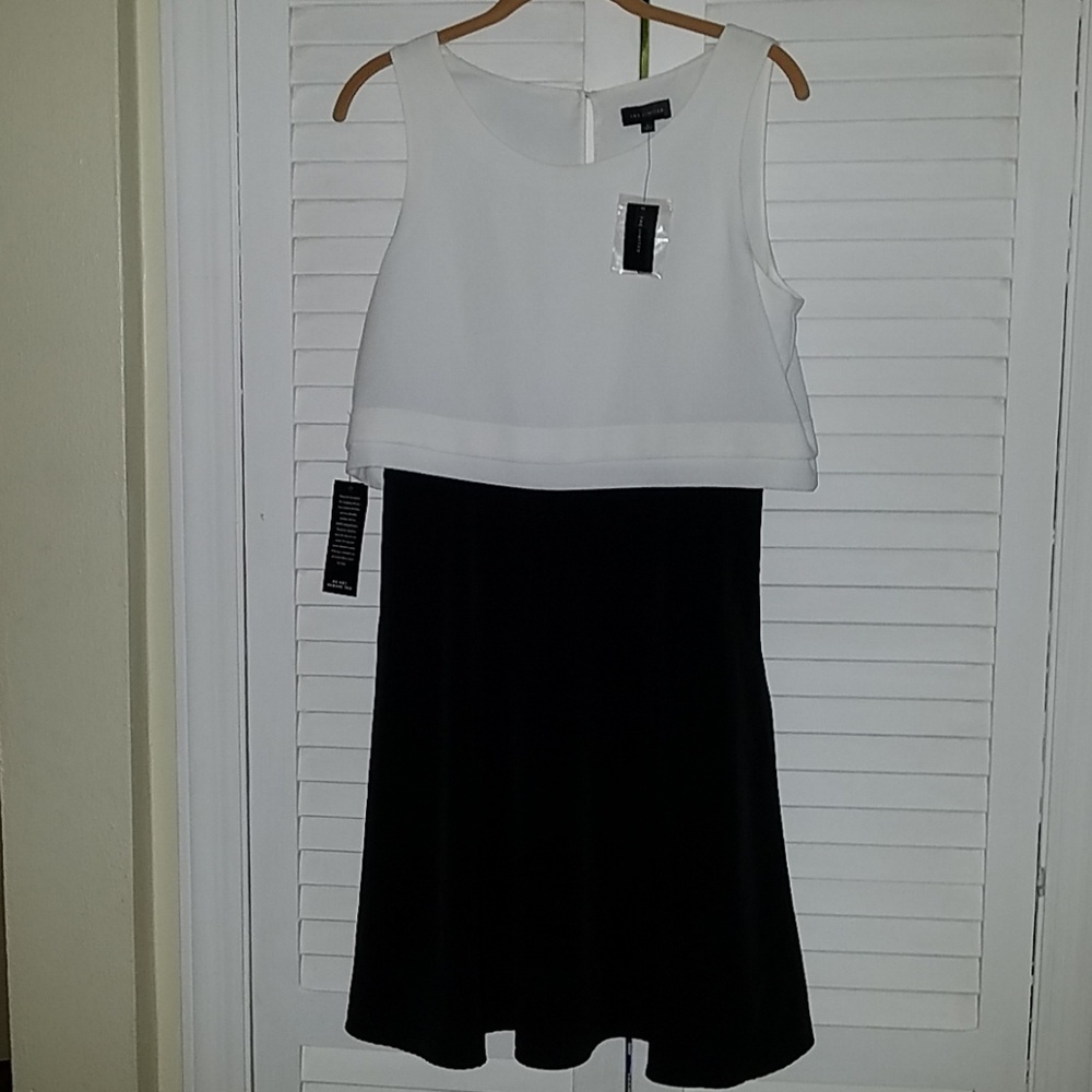 The Limited black & white a-line swing dress 6 NWT